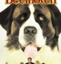 Beethoven (1992)