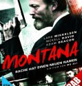 Montana 2014 Brrip