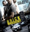 Brick Mansions (2014)