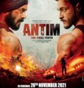 Antim: The Final Truth (2021)
